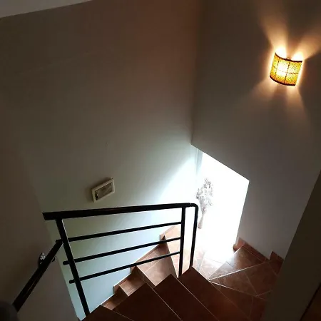 Martika 시오포크